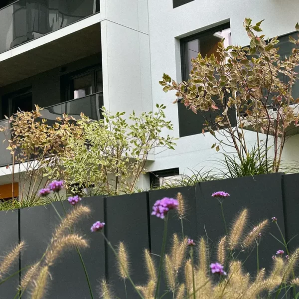 chociebuska_11_wroclaw (1)