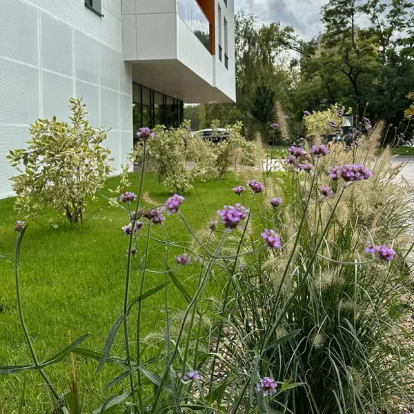 chociebuska_11_wroclaw (2)