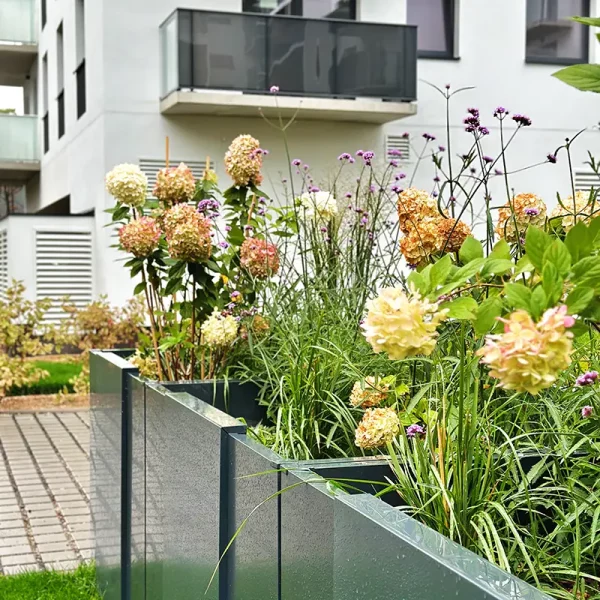 chociebuska_11_wroclaw (3)