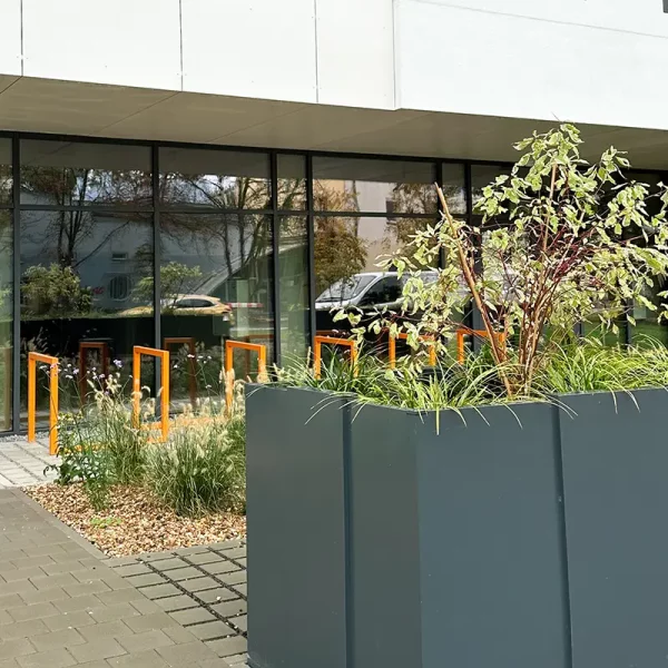 chociebuska_11_wroclaw (4)