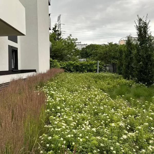 dorzecze-legnickiej (1)