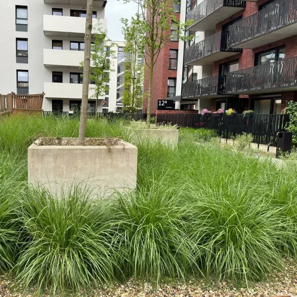 dorzecze-legnickiej (10)