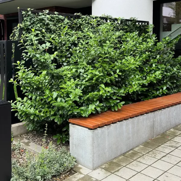 dorzecze-legnickiej (11)