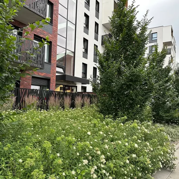 dorzecze-legnickiej (2)