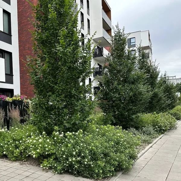 dorzecze-legnickiej (3)