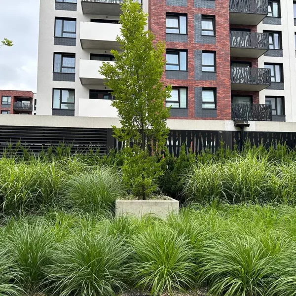 dorzecze-legnickiej (5)