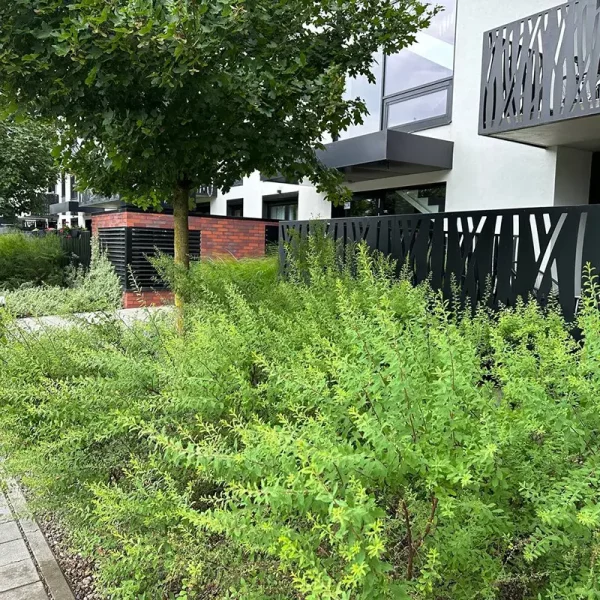 dorzecze-legnickiej (7)