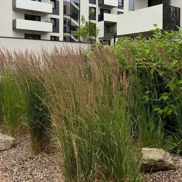 dorzecze-legnickiej (8)