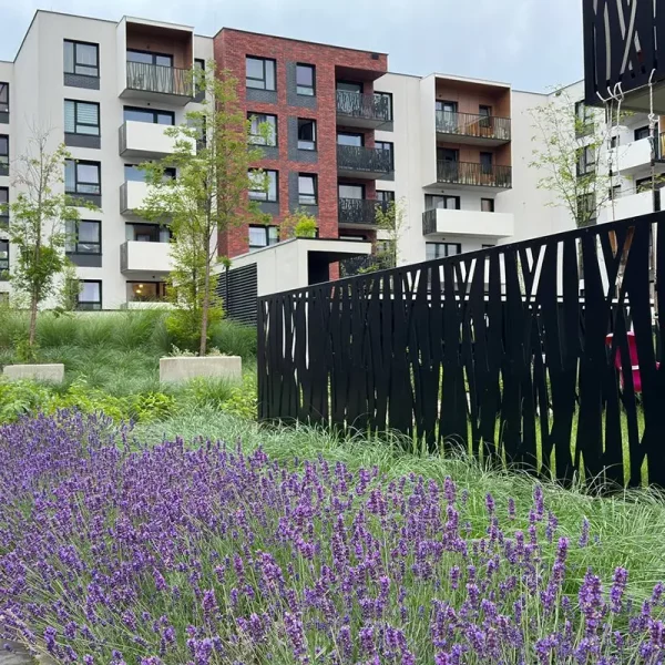 dorzecze-legnickiej (9)