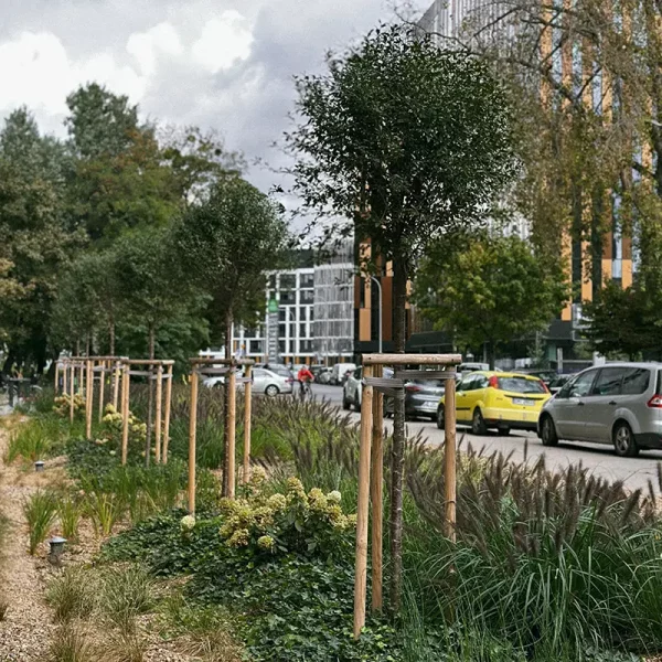 jaworska-4-6-wroclaw (1)