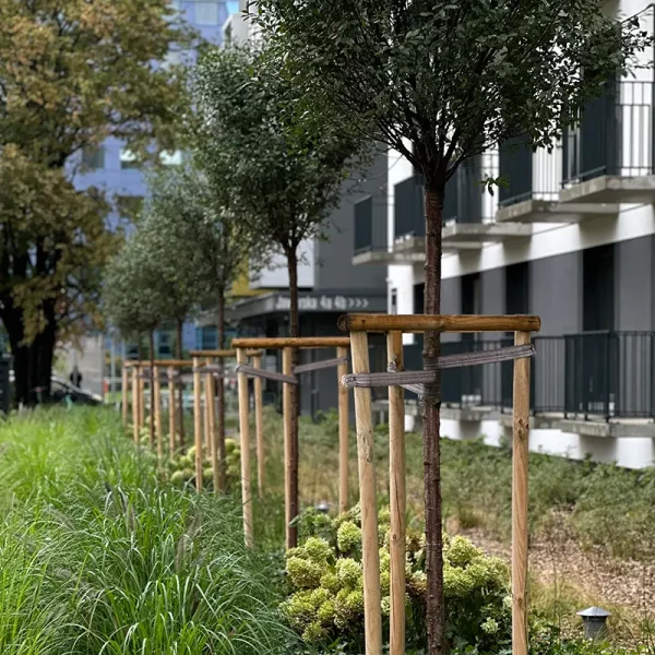 jaworska-4-6-wroclaw (3)