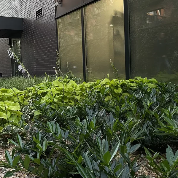 madalinskiego-wroclaw (1)