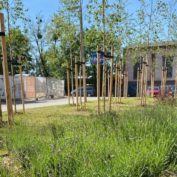 madalinskiego-wroclaw (3)