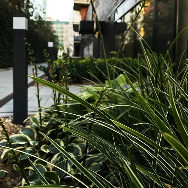 madalinskiego-wroclaw (5)