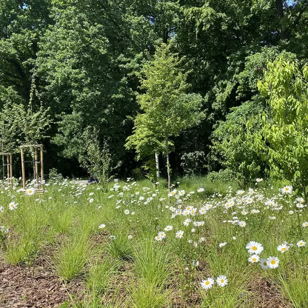 popopark_wroclaw (1)