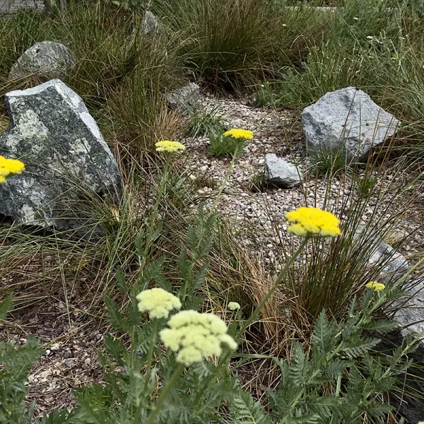 popopark_wroclaw (2)