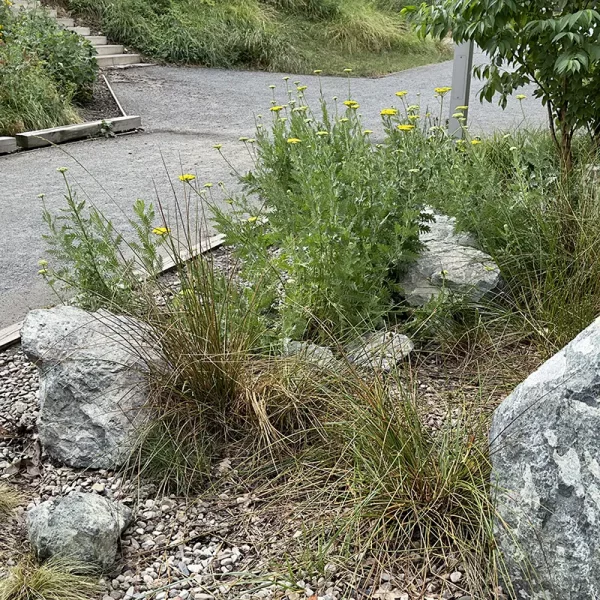 popopark_wroclaw (3)