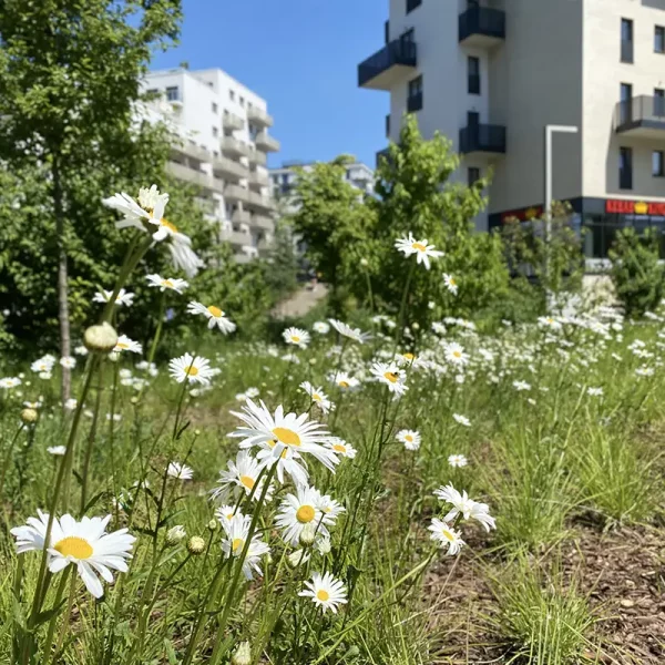 popopark_wroclaw (7)